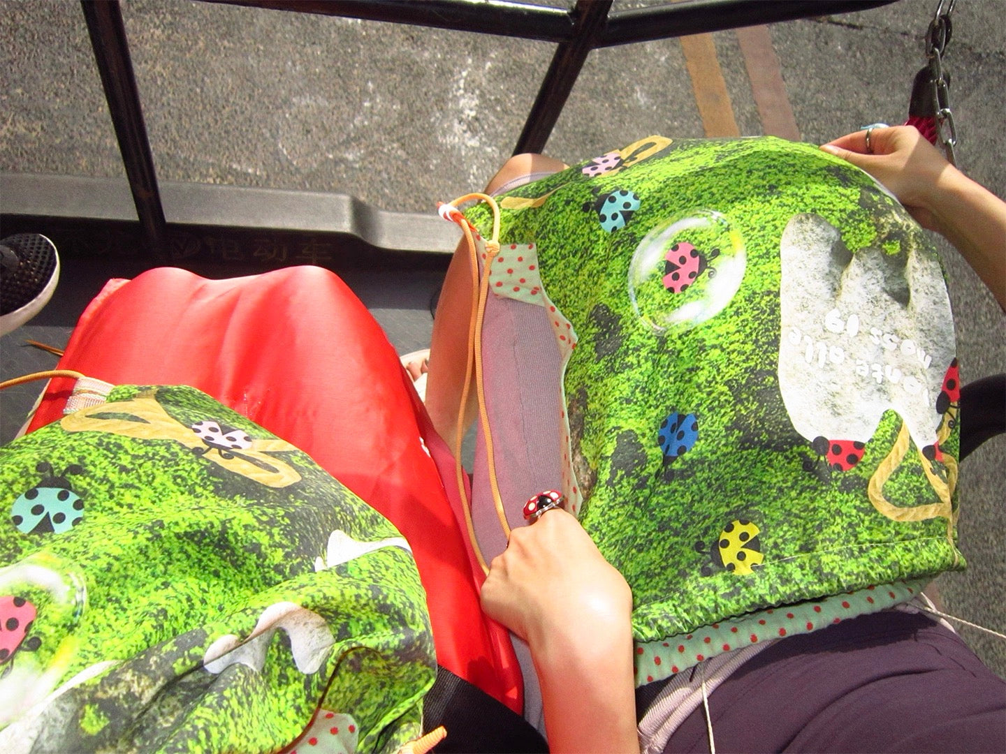 PonteAlleMoss19 – Ladybug Moss Embrodery Backpack