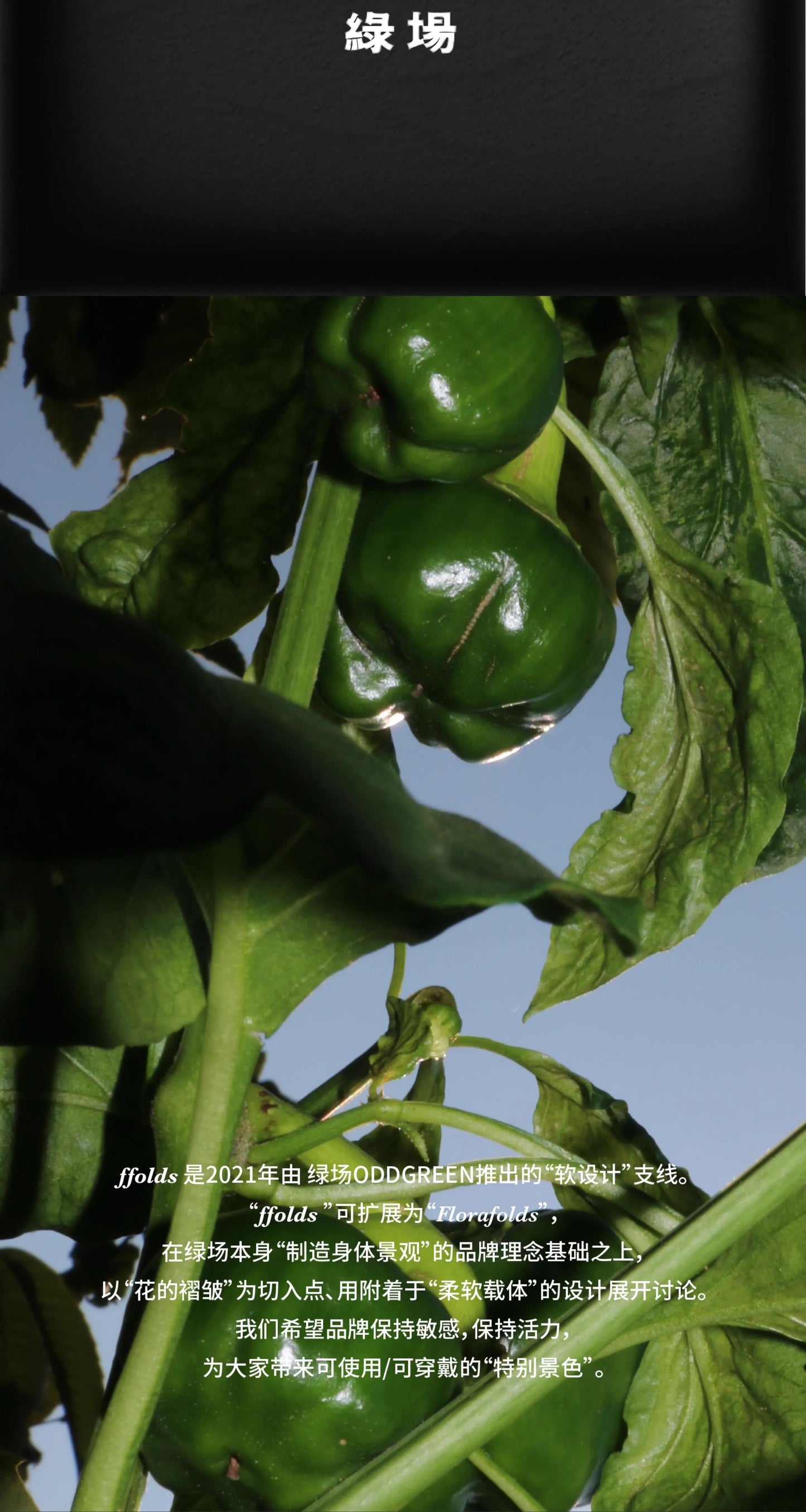 Oddgreen - Green Pepper Apple Bag