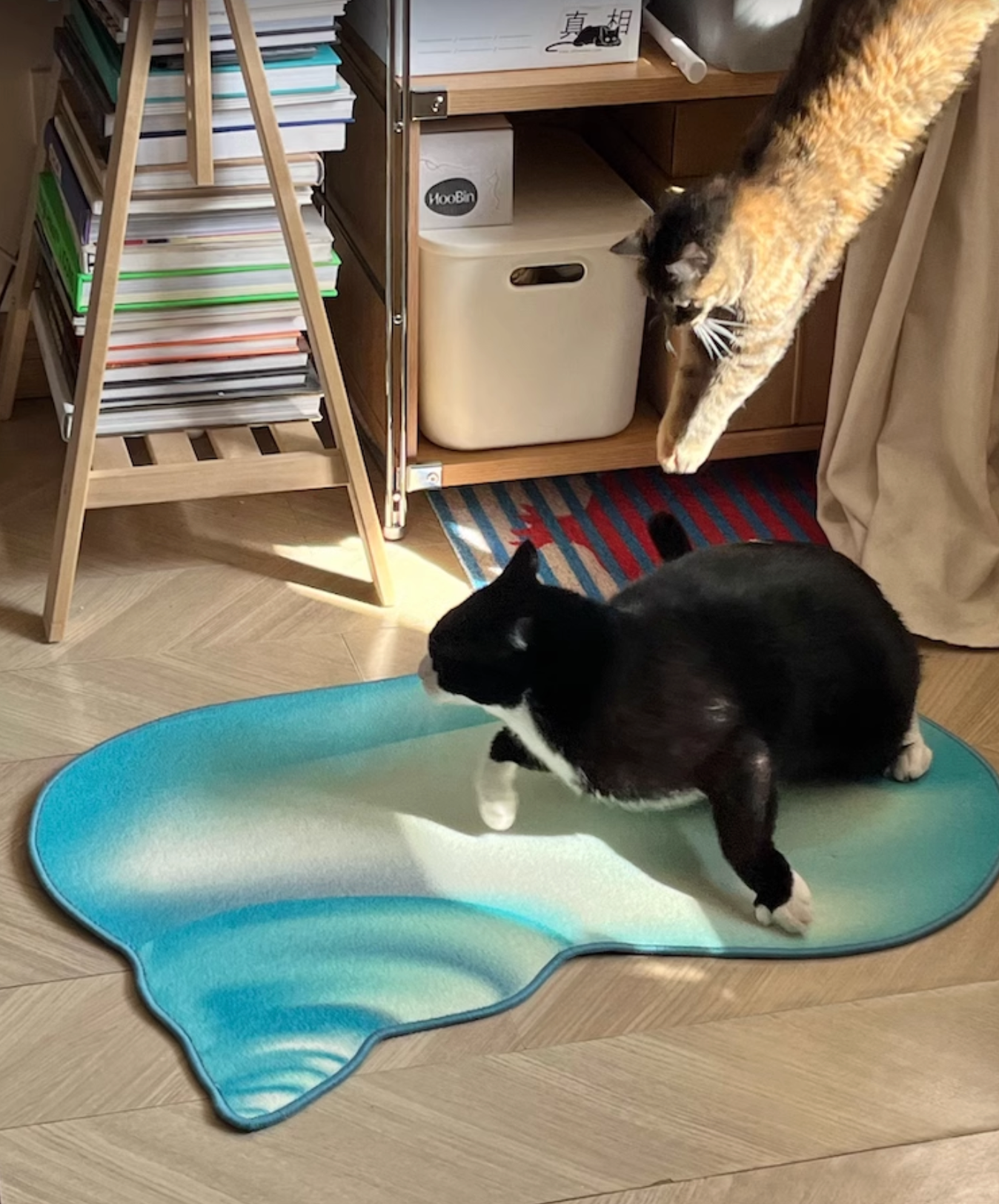 Hoobin - Pet friendly Machine Washable Carpet (Blue seashell)