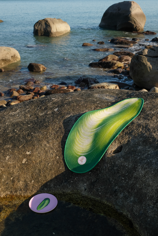 Hoobin - Mussel Carpet