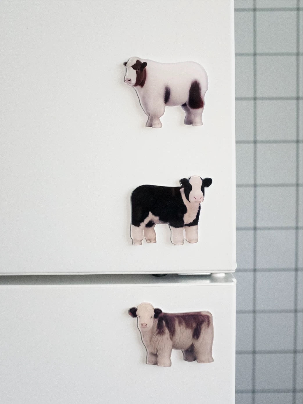 Hoobin - Calf Fridge Magnets (Set of 3)