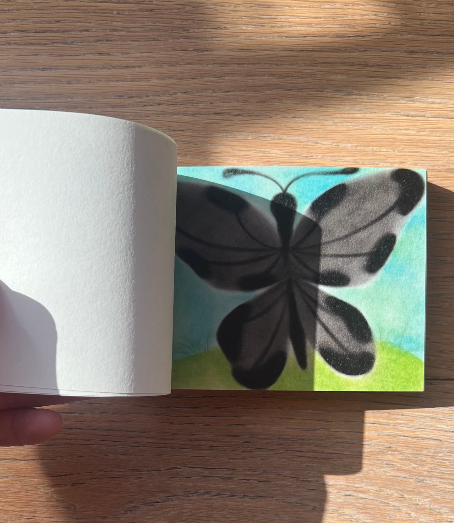 Tirezhong - HandFlipBook 'The Butterfly Grows Hand'