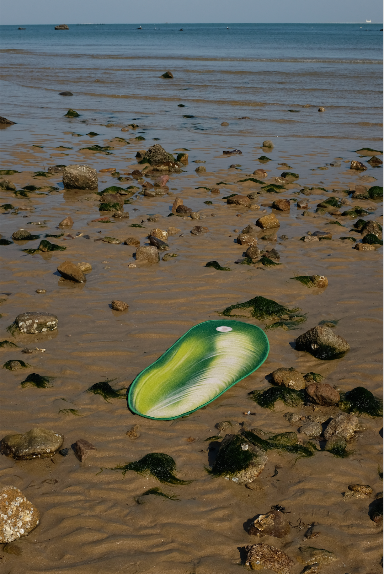 Hoobin - Mussel Carpet